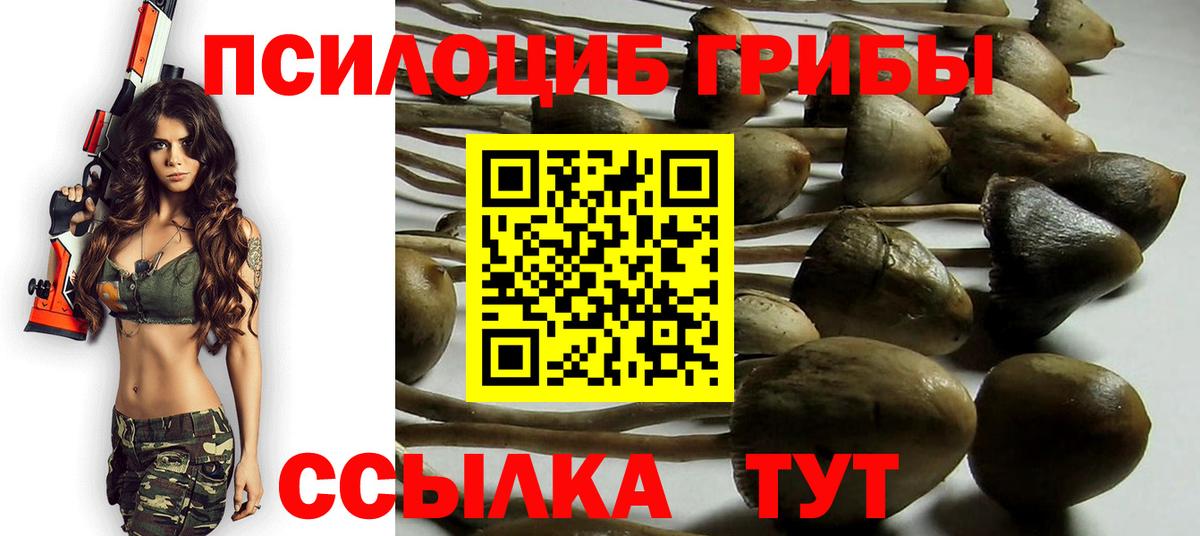 Галлюциногенные грибы Psilocybine cubensis Орехово-Зуево