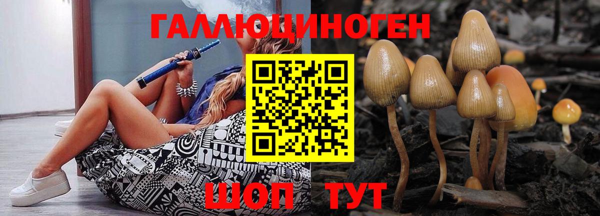 Псилоцибиновые грибы Psilocybine cubensis  Вход с VPN  Псилоцибиновые грибы Cubensis  Орехово-Зуево 